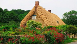 Экзотические кровли скатных крыш